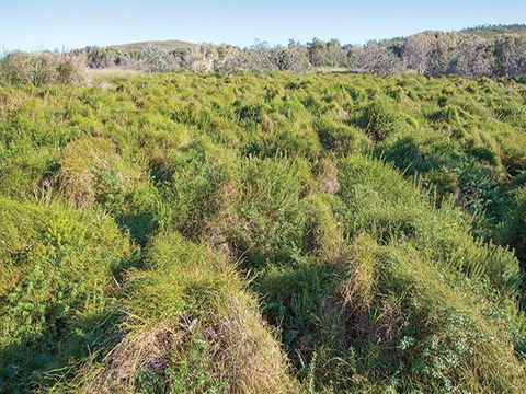 Shelley Head Campground - Accommodation Search 1
