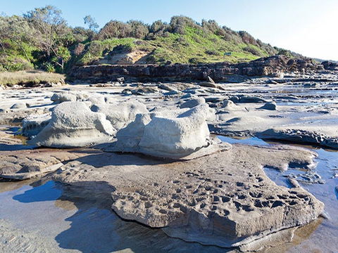 Shelley Head Campground - Accommodation Search 2