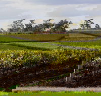Estate Tuscany - Accommodation Search