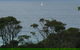 Narooma Top Spot - thumb 1