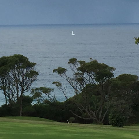 Narooma Top Spot - Accommodation Search 1