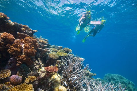 NRMA Cairns Holiday Park - Accommodation Search 0