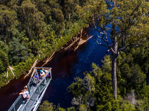 Tahune Adventures Tasmania - Lodge And Cabin - Accommodation Search 1
