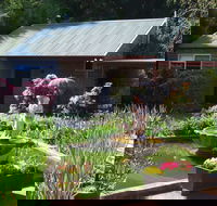 Barefoot Springs B and B - Accommodation Search