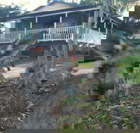 Bush and Bay Cottage - Accommodation Search