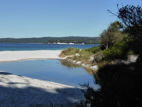 Hyams Beach Hideaway - Accommodation Search 0