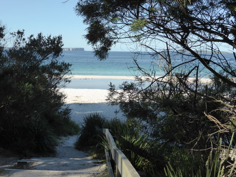 Hyams Beach Hideaway - Accommodation Search 2