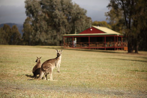 The Pokolbin Cabins - Accommodation Search 0