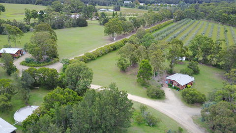 Twin Trees - Accommodation Search 1