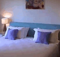Cottesloe Garden Apartments - Accommodation Search