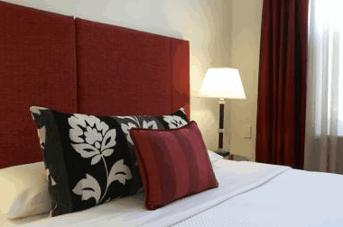 Eight Nicholson - Accommodation Search 1