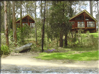 Bewong River Retreat - Accommodation Search 4