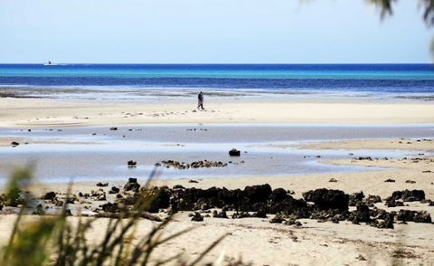 Halcyon Bay - Accommodation Search 5