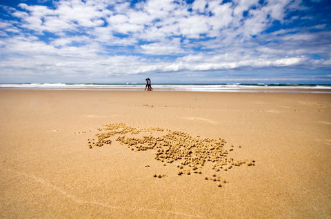 BIG4 Nambucca Beach Holiday Park - Accommodation Search 1