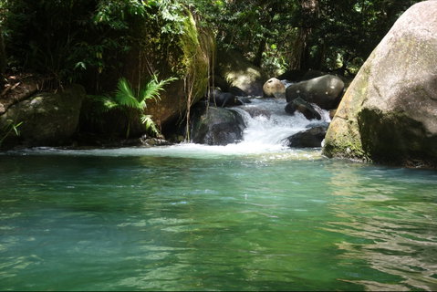 Daintree Secrets Rainforest Sanctuary - Accommodation Search 0