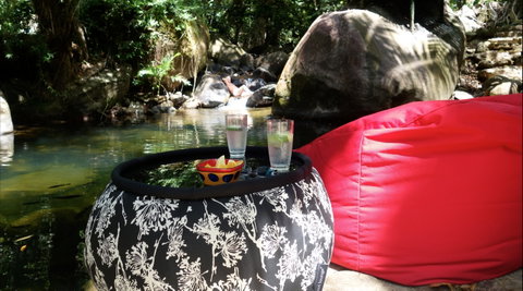 Daintree Secrets Rainforest Sanctuary - Accommodation Search 1