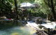 Daintree Secrets Rainforest Sanctuary - thumb 2