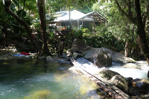Daintree Secrets Rainforest Sanctuary - Accommodation Search 2