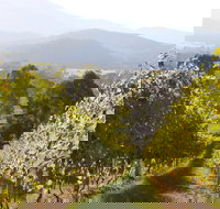 Rosetta's Garden Guesthouse - Accommodation Search