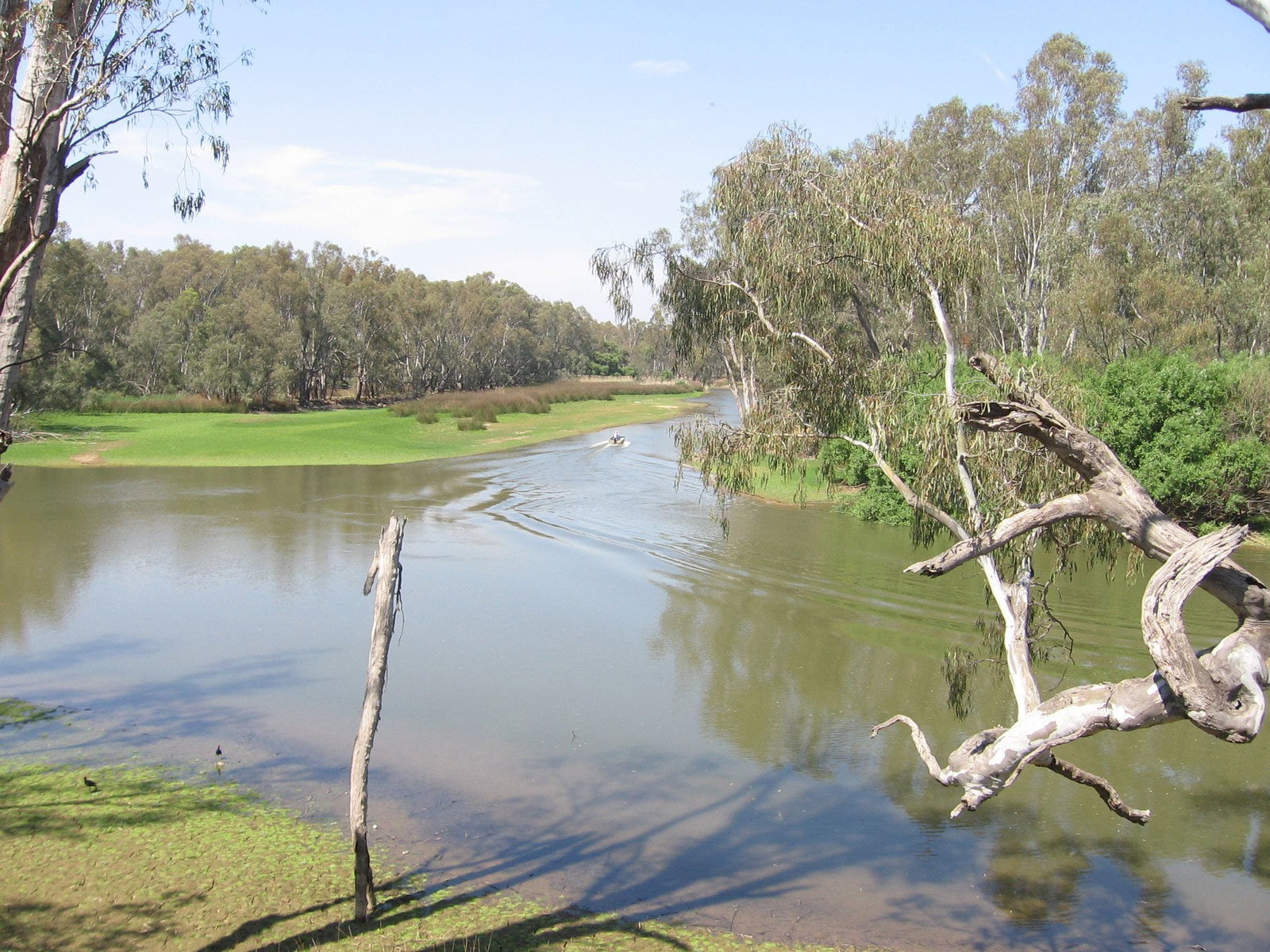 Collendina NSW Accommodation Search