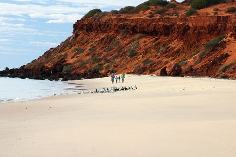 Herald Bight Camp At Francois Peron National Park - Accommodation Search 0