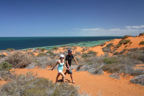 Herald Bight Camp At Francois Peron National Park - Accommodation Search 2