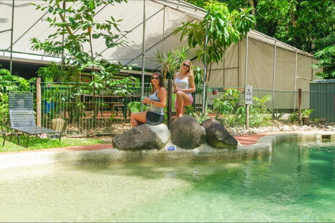 Safari Lodge - Accommodation Search 2