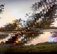 Swagsman Motor Inn - Accommodation Search