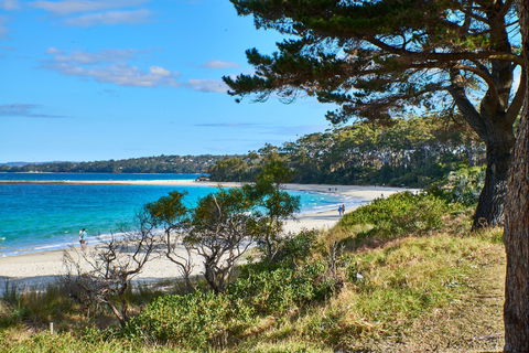 The Beach Jervis Bay - Accommodation Search 1
