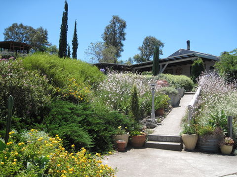 Valley View Cottage Hunter Valley - Accommodation Search 0