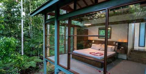 Crystal Creek Rainforest Retreat - Accommodation Search 2
