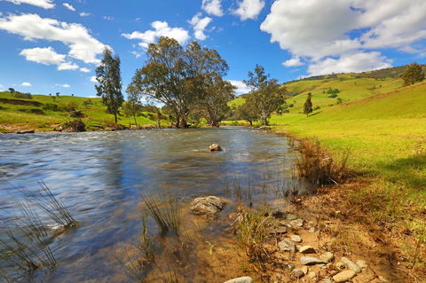 Elm Cottage Tumut - Accommodation Search 0