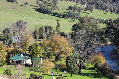 Elm Cottage Tumut - Accommodation Search 1