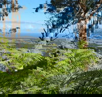 Escarpment - Accommodation Search