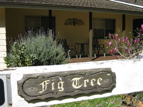 Figtree Cottage - Accommodation Search 0