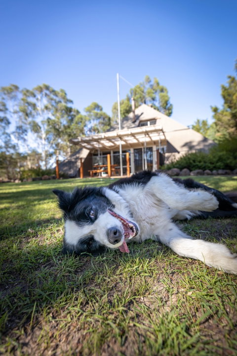 Grampians Getaway - Accommodation Search 0