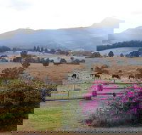The Barn  House Farm Stay at Possum Manor - Accommodation Search
