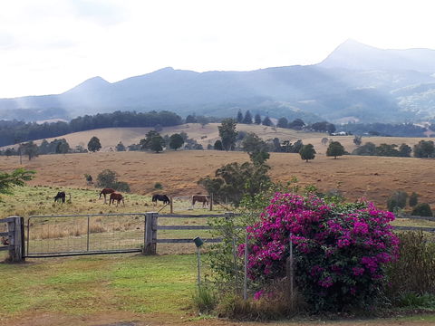 The Barn  House Farm Stay At Possum Manor - Accommodation Search 0