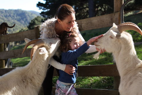 Valley View Nature Retreat - Accommodation Search 1