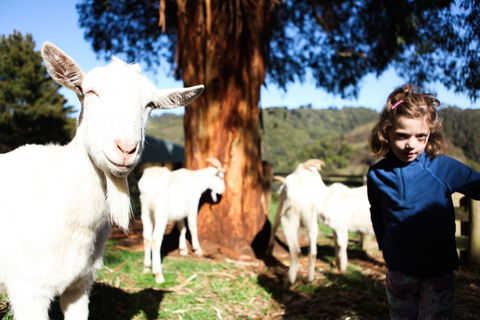 Valley View Nature Retreat - Accommodation Search 2