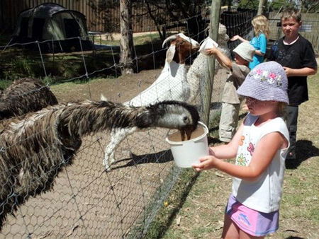 Bairnsdale Holiday Park - Accommodation Search 2