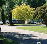 Mitchell Gardens Holiday Park - Accommodation Search