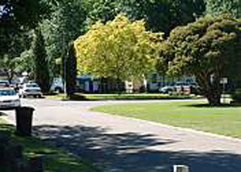 Mitchell Gardens Holiday Park - Accommodation Search 0