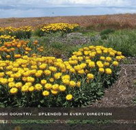 Alpine View Apartments - Accommodation Search