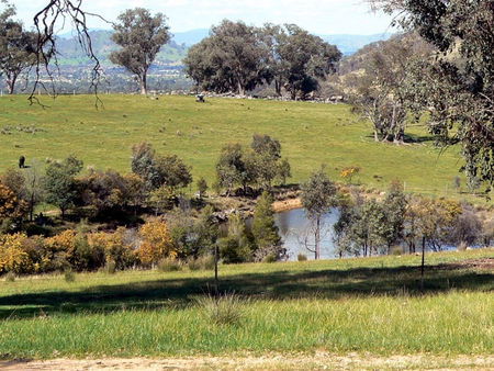 Gaddleen Grove Cottages - Accommodation Search 3