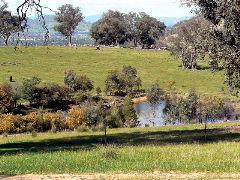 Gaddleen Grove Cottages - Accommodation Search 5