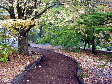 Brigadoon Cottages - Accommodation Search 3