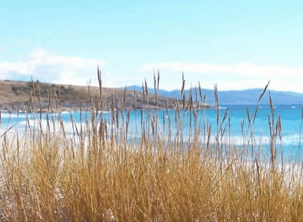 White Sands Estate - Accommodation Search
