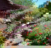 Chestnut Brook Cottage - Accommodation Search