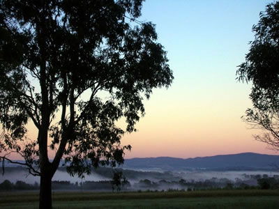 Bluebush Estate - Accommodation Search 0